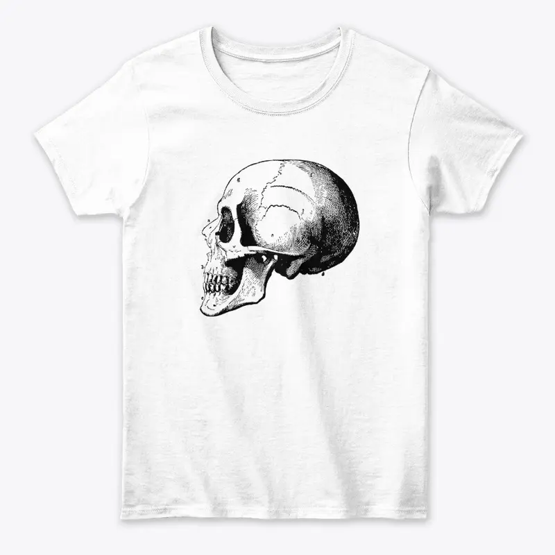 Vintage Anatomy Skull Diagram