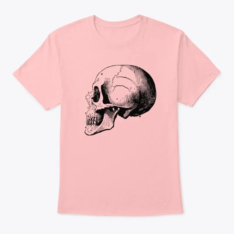 Vintage Anatomy Skull Diagram